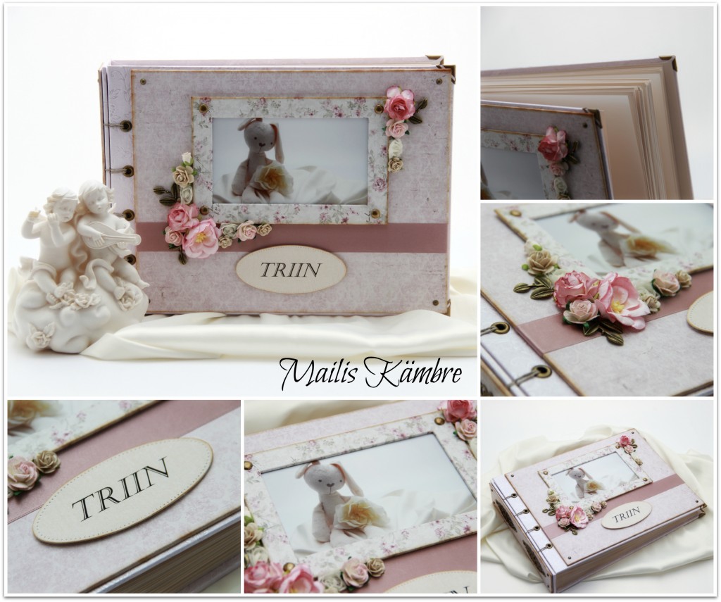 Triinu album
